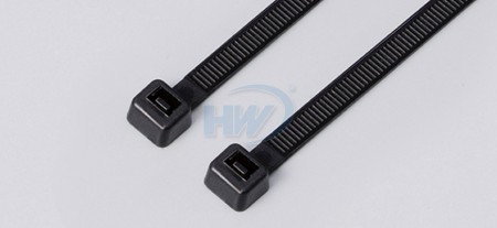 100x2.5mm (3.9x0.10 pollici), Fascette per Cavi, PA66, Seghettato Esterno - Fascette Seghettate Esterne