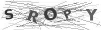 Please refresh your browser to see this image.