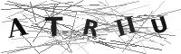 Please refresh your browser to see this image.