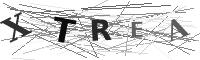 Please refresh your browser to see this image.