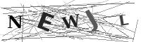 Please refresh your browser to see this image.